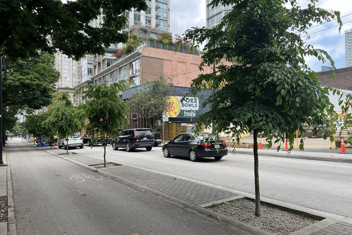 Street-side bioretention planting with trees along an urban road
